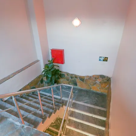 Albergue The Macan *