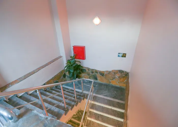 Auberge de jeunesse The Macan *